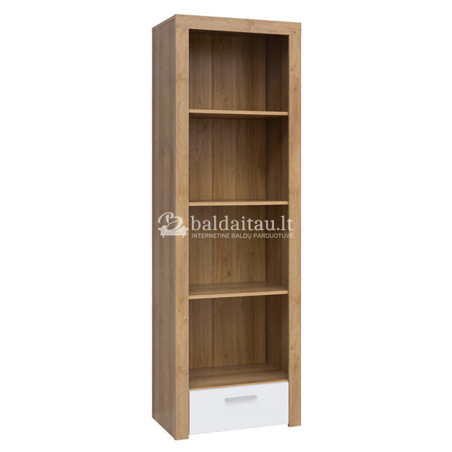 Lentyna BALDER REG1S Lentyna BALDER REG1S