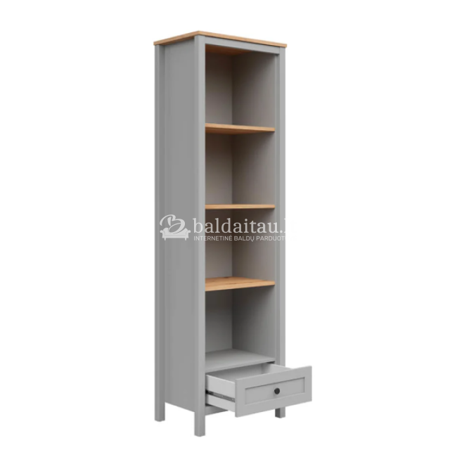 Pastatoma lentyna SALGA REG1S Pastatoma lentyna SALGA REG1S