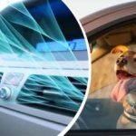 Hőhullám sújtja Ukrajnát: hogyan lehet gyorsan lehűteni az autó belsejét