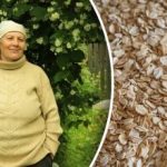 Tapasztalt háziasszonyok szórják a zöldségeskertbe a darát: miért csinálják?